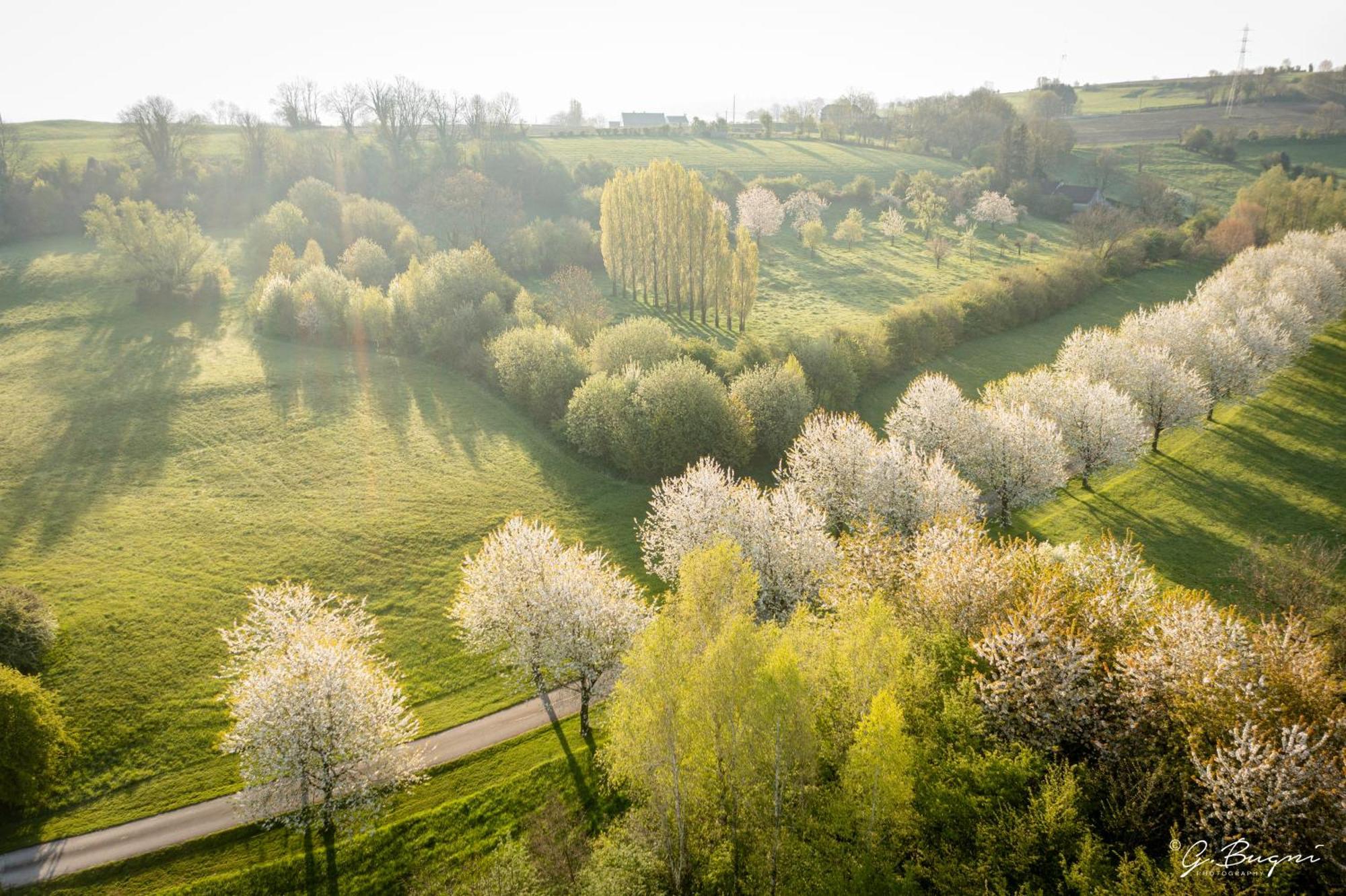 Cote Verger B&B Battice Exteriér fotografie